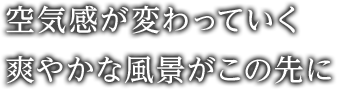 空気感が変わっていく爽やかな風景がこの先に