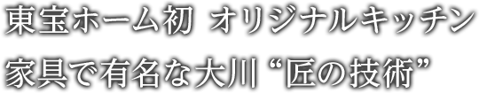 東宝ホーム初 オリジナルキッチン　家具で有名な大川「匠の技術」